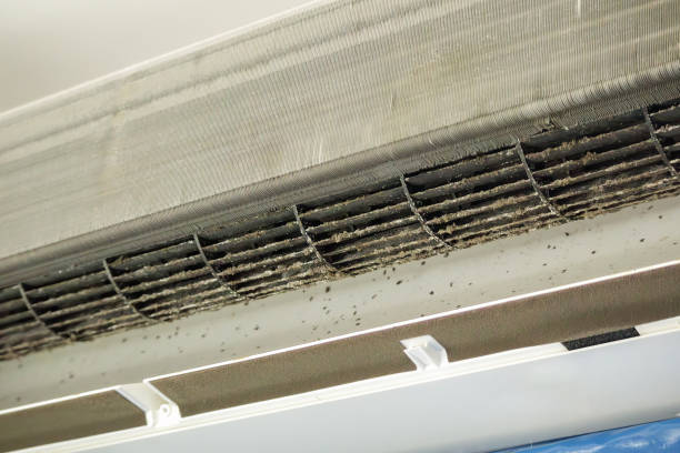 Best Affordable Air Duct Cleaning  in Mexico Beach, FL