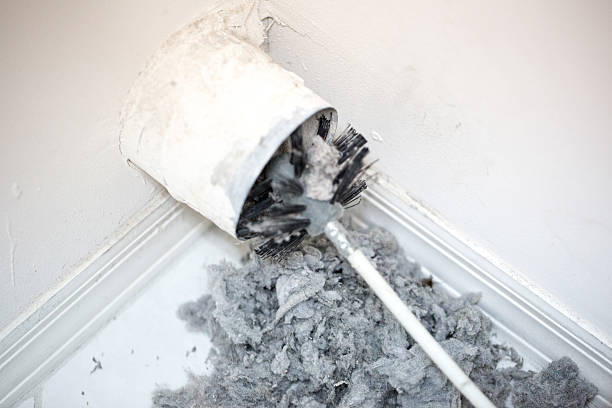 Best Emergency Air Duct Cleaning  in Mexico Beach, FL